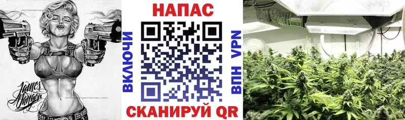 купить закладку  Анжеро-Судженск  Бошки марихуана план 